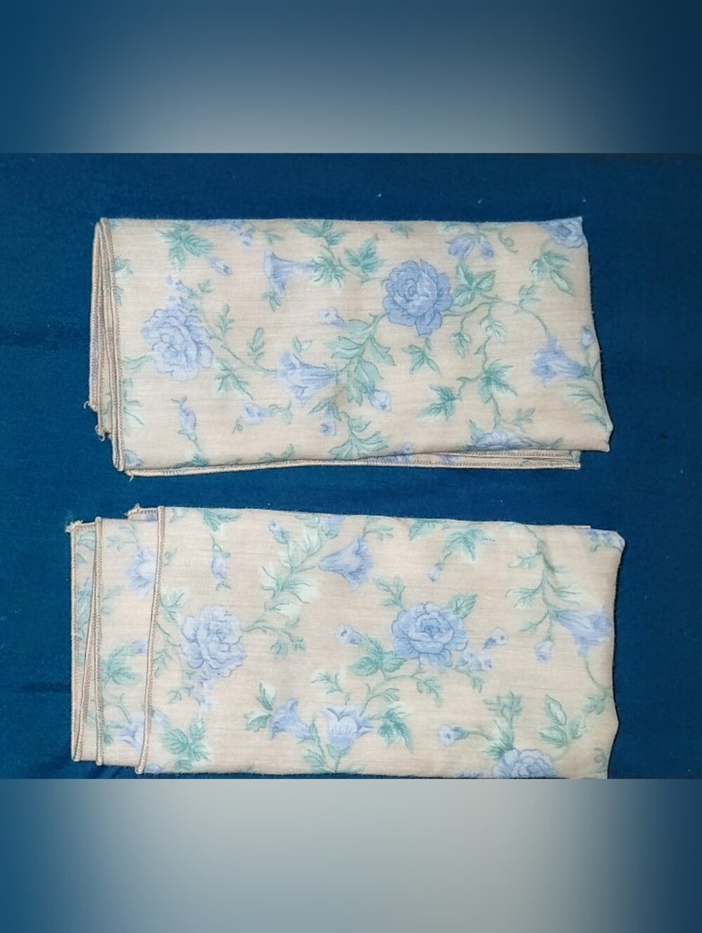 Vintage Blue Floral Cloth Napkins Set Of 2 Cottagecore Table Linens 16x16